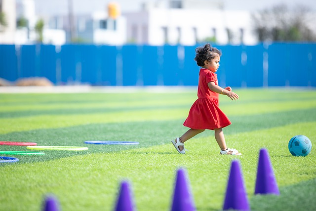 逐的主要目 逐的主要目