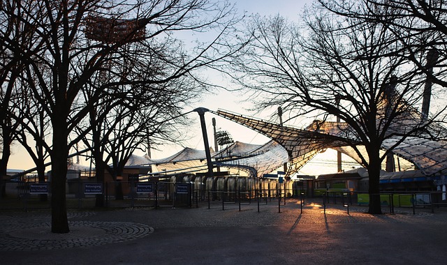 行为的一次 行为的一次