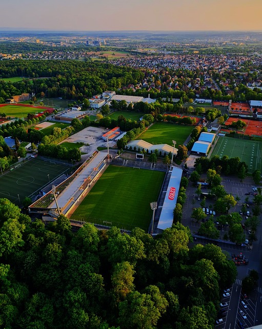 但对于一些 但对于一些