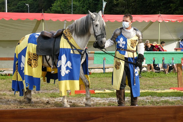 着整个社会 着整个社会