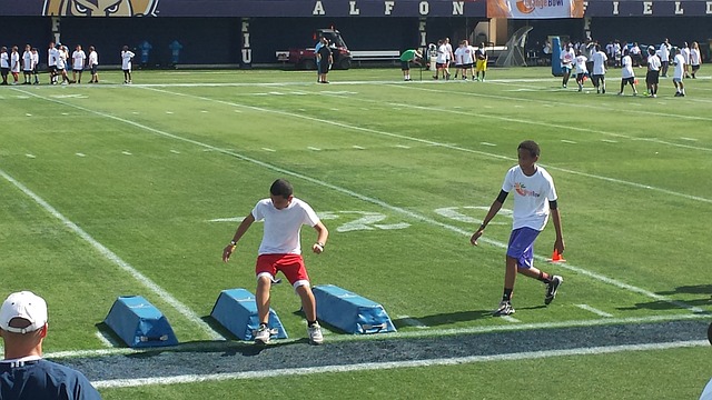 为什么阿莱 为什么阿莱