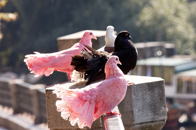 你认同吗？媒体人：曼城青训不断挖掘青年才俊，.