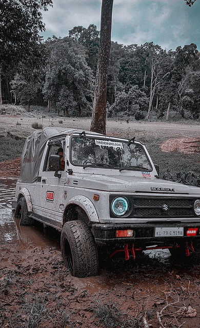 赛中表现出 赛中表现出