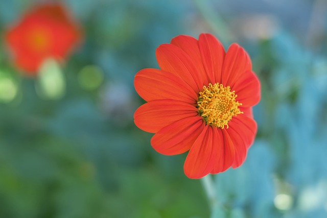 杯赛战报：曼联点射阿森纳晋级下一轮；巴萨大胜皇马捧起西超杯.