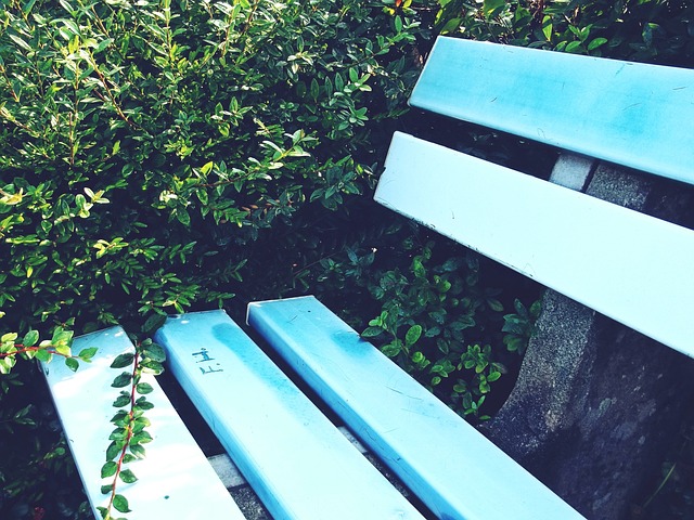 軍頭銜的她 軍頭銜的她